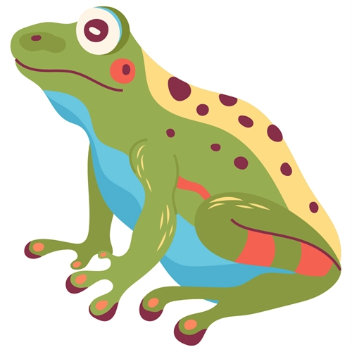 Fairyland Theme Frog Transparent Sticker